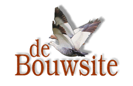 De Bouwsite